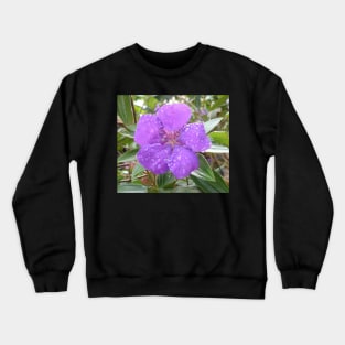 Rain drops on Lasiandra Crewneck Sweatshirt